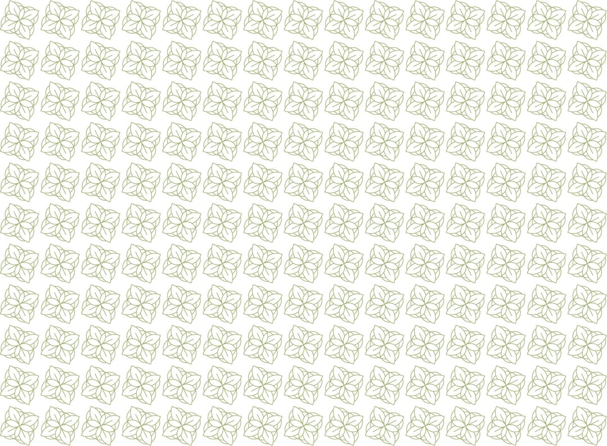BUN?STARE美容品牌包裝vi設(shè)計(jì)——有機(jī)化妝品品牌視覺(jué)設(shè)計(jì)，vi設(shè)計(jì)，視覺(jué)設(shè)計(jì)，化妝品品牌vi設(shè)計(jì)，化妝品vi設(shè)計(jì)，企業(yè)vi設(shè)計(jì)，品牌vi設(shè)計(jì)，美容品牌vi設(shè)計(jì)，vi品牌策劃，深圳vi設(shè)計(jì)，左右格局
